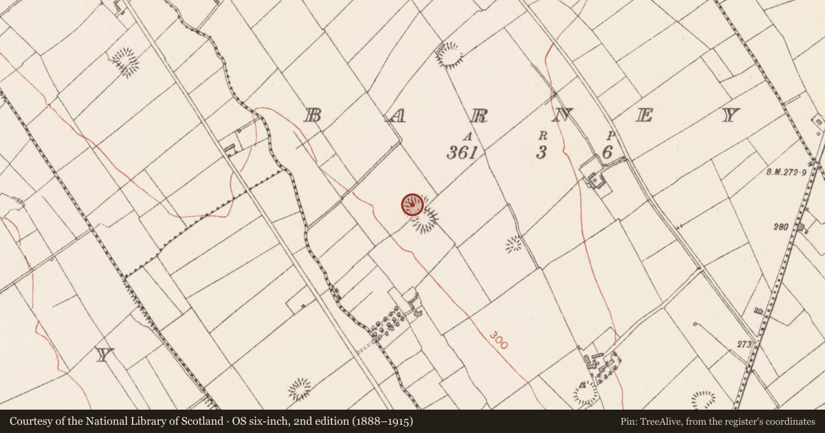 Ordnance Survey six-inch map, 2nd edition (1888–1915) covering the location of Enclosure, Barney, County Longford, with a pin at the register's coordinates