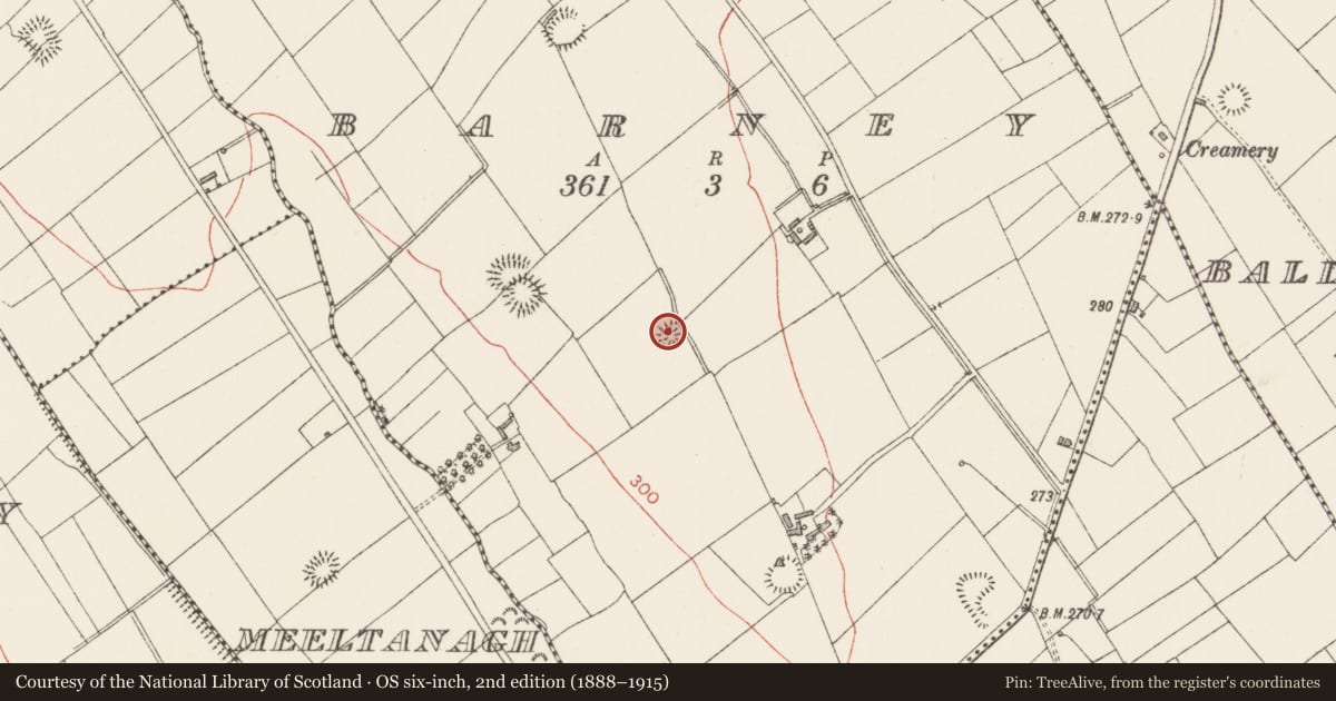 Ordnance Survey six-inch map, 2nd edition (1888–1915) covering the location of Ringfort - rath, Barney, County Longford, with a pin at the register's coordinates