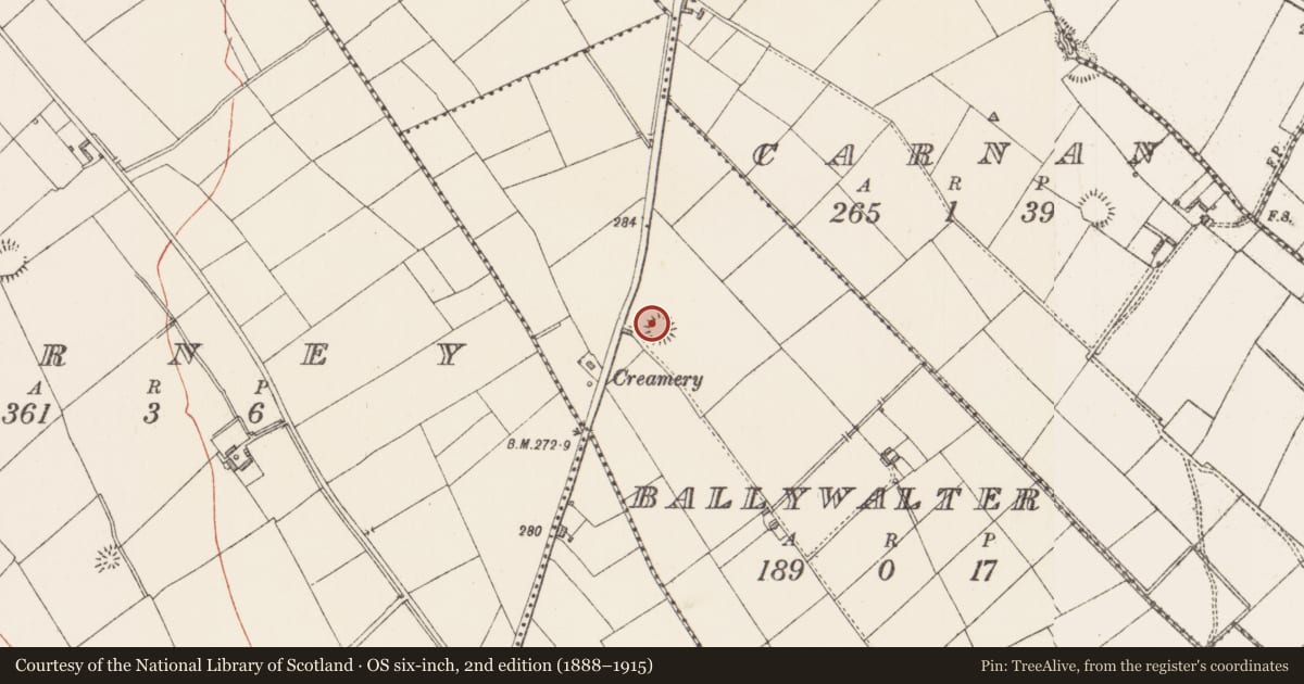 Ordnance Survey six-inch map, 2nd edition (1888–1915) covering the location of Ringfort - rath, Ballywalter, County Longford, with a pin at the register's coordinates