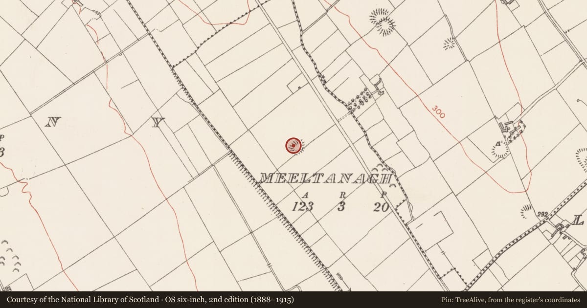 Ordnance Survey six-inch map, 2nd edition (1888–1915) covering the location of Ringfort - rath, Meeltanagh, County Longford, with a pin at the register's coordinates