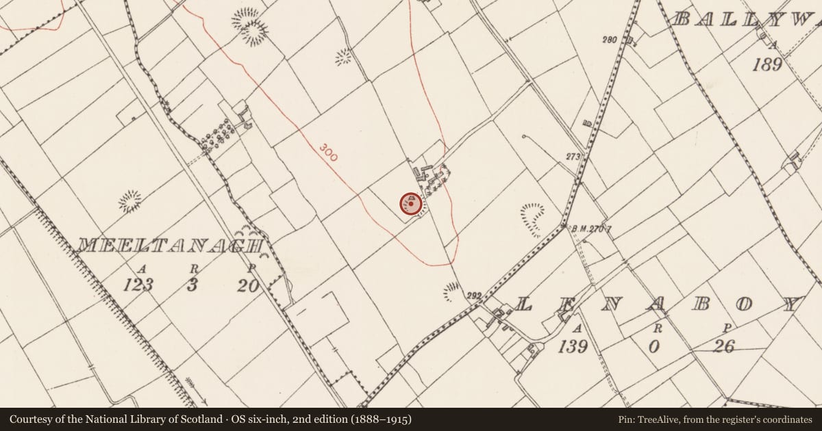 Ordnance Survey six-inch map, 2nd edition (1888–1915) covering the location of Ringfort - rath, Barney, County Longford, with a pin at the register's coordinates