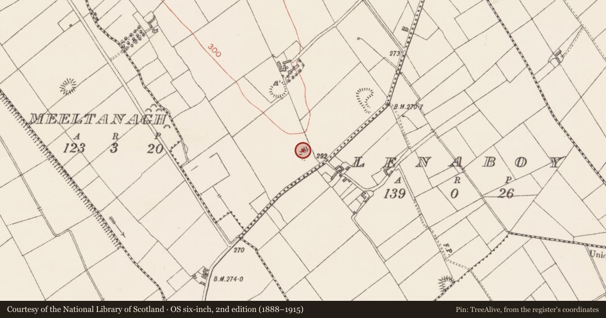 Ordnance Survey six-inch map, 2nd edition (1888–1915) covering the location of Ringfort - rath, Barney, County Longford, with a pin at the register's coordinates