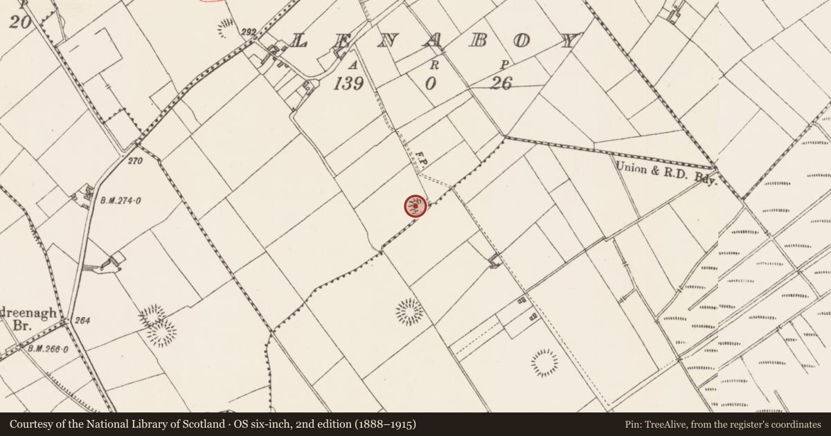 Ordnance Survey six-inch map, 2nd edition (1888–1915) covering the location of Ringfort - rath, Sleehaun, Lenaboy, County Longford, with a pin at the register's coordinates