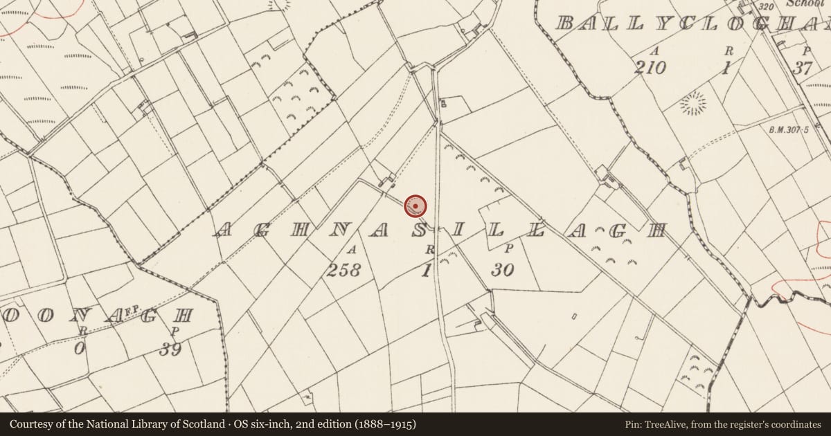 Ordnance Survey six-inch map, 2nd edition (1888–1915) covering the location of Ringfort - rath, Aghnasillagh, County Longford, with a pin at the register's coordinates