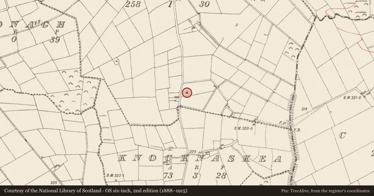Ordnance Survey six-inch map, 2nd edition (1888–1915) covering the location of Ringfort - rath, Aghnasillagh, County Longford, with a pin at the register's coordinates