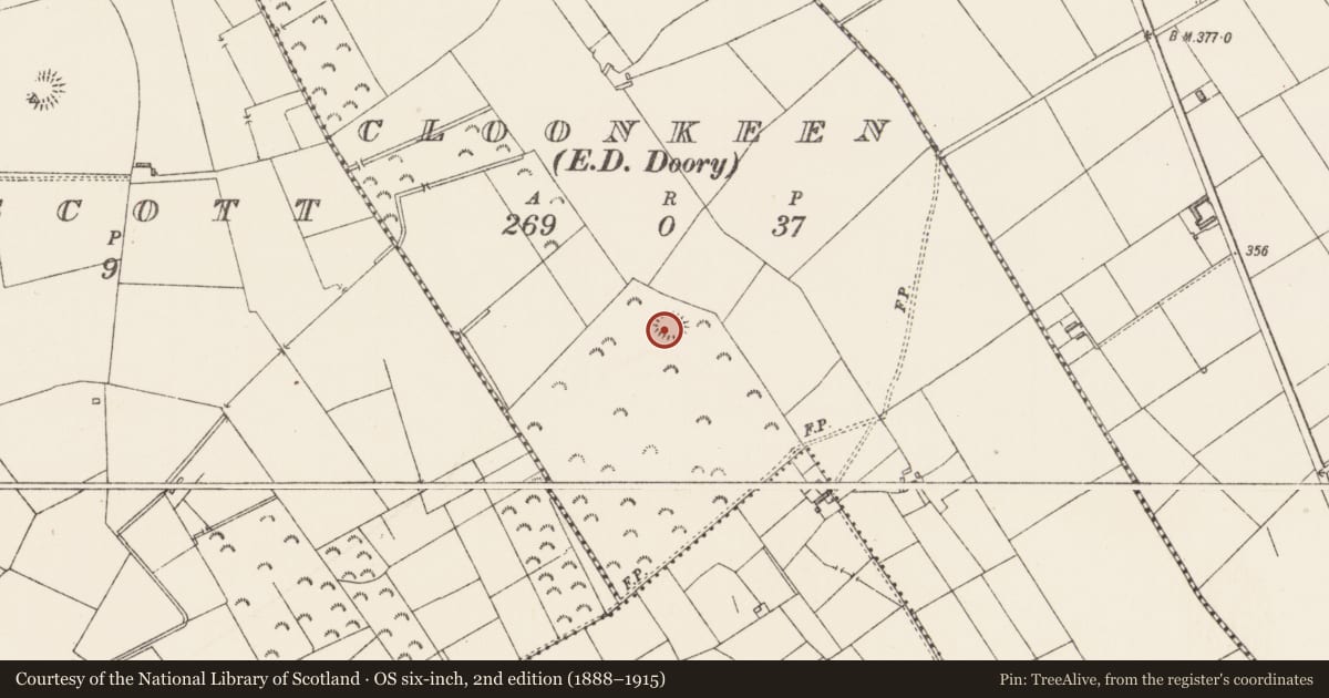 Ordnance Survey six-inch map, 2nd edition (1888–1915) covering the location of Ringfort - rath, Cloonkeen, County Longford, with a pin at the register's coordinates