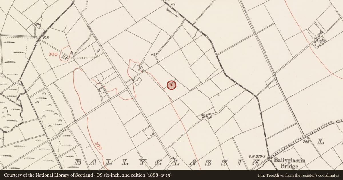 Ordnance Survey six-inch map, 2nd edition (1888–1915) covering the location of Ringfort - rath, Ballyglassin, County Longford, with a pin at the register's coordinates
