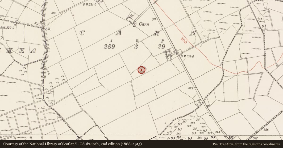 Ordnance Survey six-inch map, 2nd edition (1888–1915) covering the location of Ringfort - rath, Carn, County Longford, with a pin at the register's coordinates