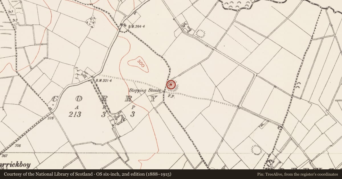 Ordnance Survey six-inch map, 2nd edition (1888–1915) covering the location of Ringfort - rath, Ballyglassin, County Longford, with a pin at the register's coordinates