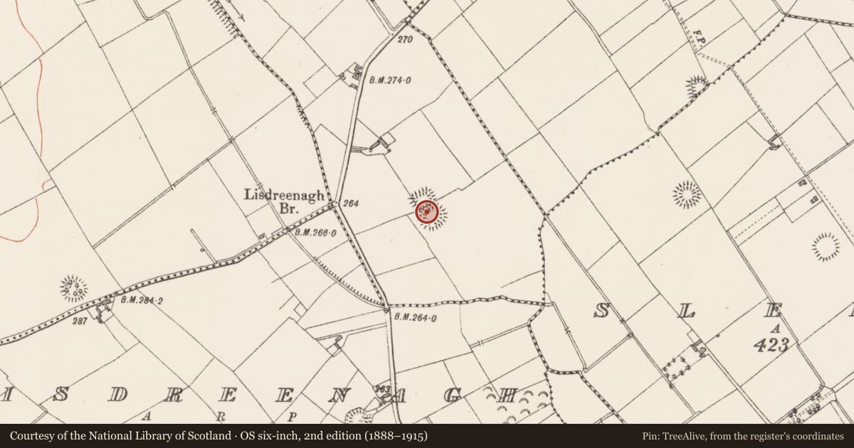 Ordnance Survey six-inch map, 2nd edition (1888–1915) covering the location of Ringfort - rath, Meeltanagh, County Longford, with a pin at the register's coordinates