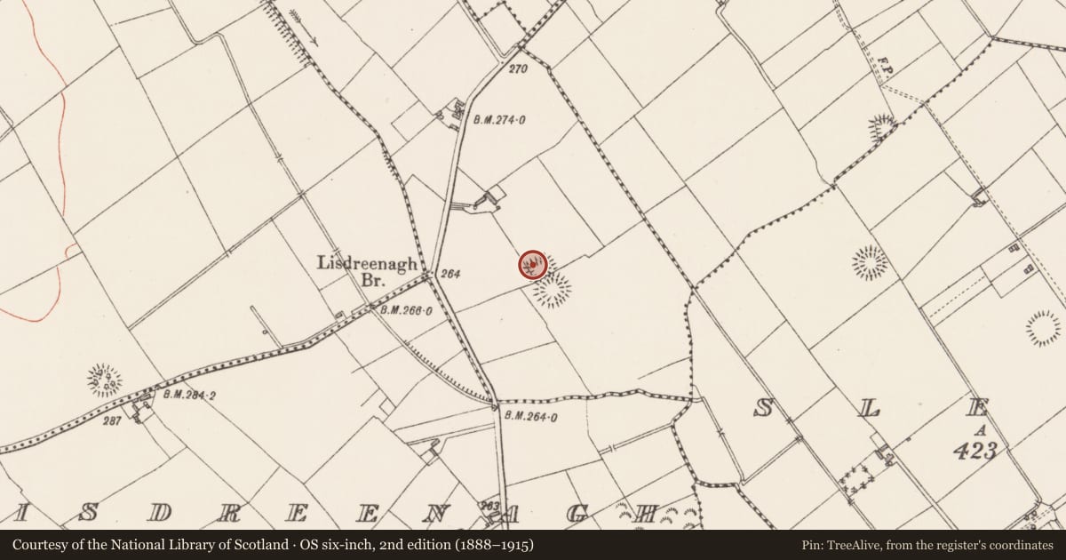 Ordnance Survey six-inch map, 2nd edition (1888–1915) covering the location of Moated site, Meeltanagh, County Longford, with a pin at the register's coordinates