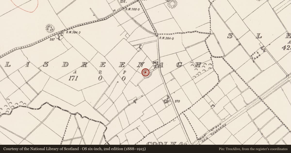 Ordnance Survey six-inch map, 2nd edition (1888–1915) covering the location of Ringfort - rath, Lisdreenagh, County Longford, with a pin at the register's coordinates