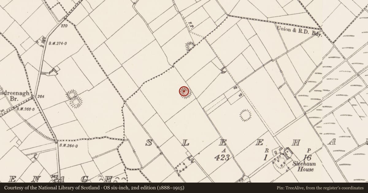 Ordnance Survey six-inch map, 2nd edition (1888–1915) covering the location of Ringfort - rath, Sleehaun, County Longford, with a pin at the register's coordinates