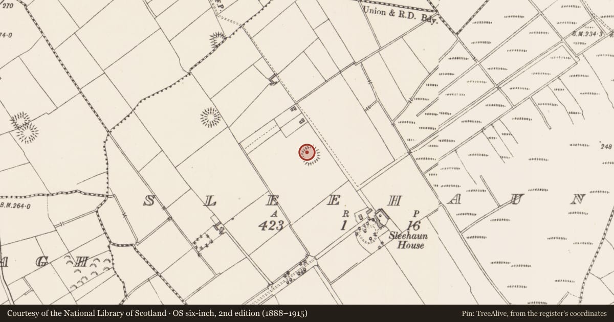 Ordnance Survey six-inch map, 2nd edition (1888–1915) covering the location of Ringfort - rath, Sleehaun, County Longford, with a pin at the register's coordinates