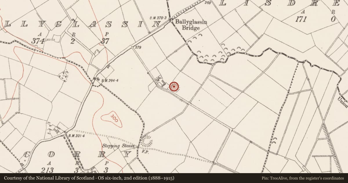 Ordnance Survey six-inch map, 2nd edition (1888–1915) covering the location of Ringfort - rath, Ballyglassin, County Longford, with a pin at the register's coordinates