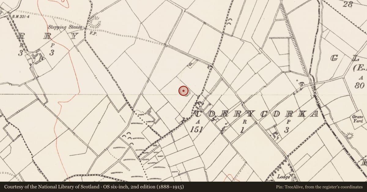 Ordnance Survey six-inch map, 2nd edition (1888–1915) covering the location of Ringfort - rath, Ballyglassin, County Longford, with a pin at the register's coordinates