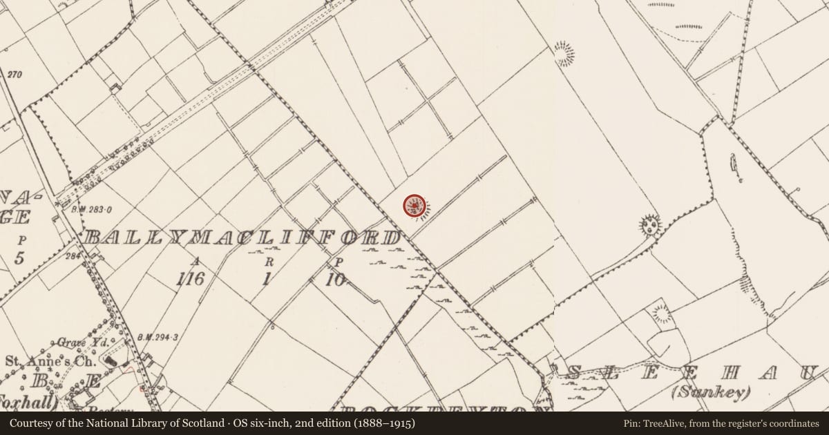 Ordnance Survey six-inch map, 2nd edition (1888–1915) covering the location of Ringfort - rath, Sleehaun, County Longford, with a pin at the register's coordinates