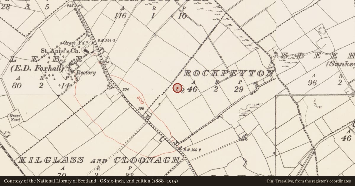 Ordnance Survey six-inch map, 2nd edition (1888–1915) covering the location of Ringfort - rath, Rockpeyton, County Longford, with a pin at the register's coordinates