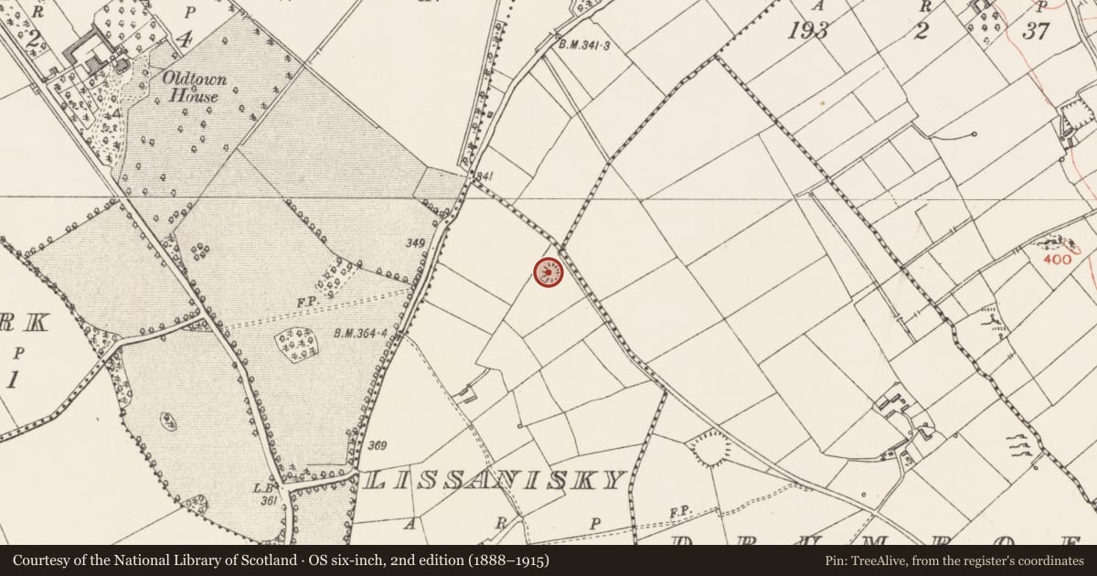 Ordnance Survey six-inch map, 2nd edition (1888–1915) covering the location of Enclosure, Lissanisky, County Longford, with a pin at the register's coordinates