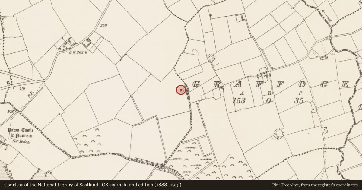 Ordnance Survey six-inch map, 2nd edition (1888–1915) covering the location of Barrow - embanked barrow, Nappagh, County Longford, with a pin at the register's coordinates