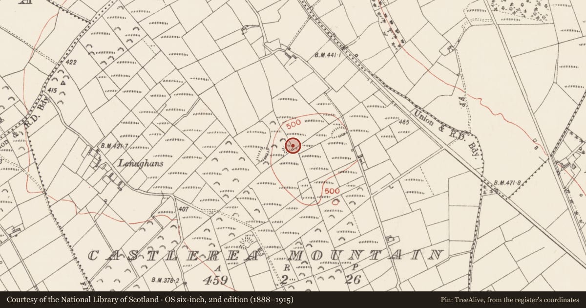 Ordnance Survey six-inch map, 2nd edition (1888–1915) covering the location of Ringfort - cashel, Castlerea Mountain, County Longford, with a pin at the register's coordinates