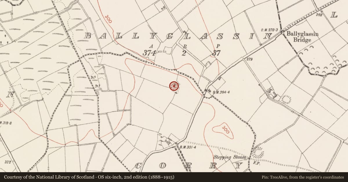 Ordnance Survey six-inch map, 2nd edition (1888–1915) covering the location of Ringfort - rath, Corry, County Longford, with a pin at the register's coordinates