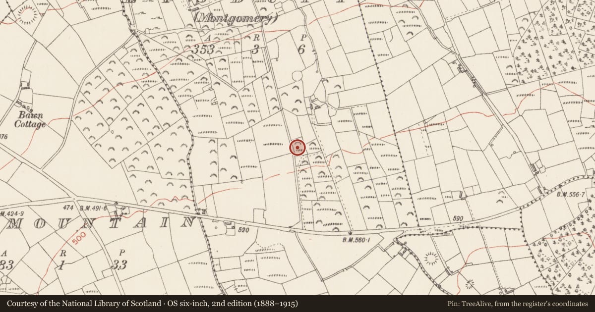 Ordnance Survey six-inch map, 2nd edition (1888–1915) covering the location of Fulacht fia, Lisduff (Montgomery), County Longford, with a pin at the register's coordinates