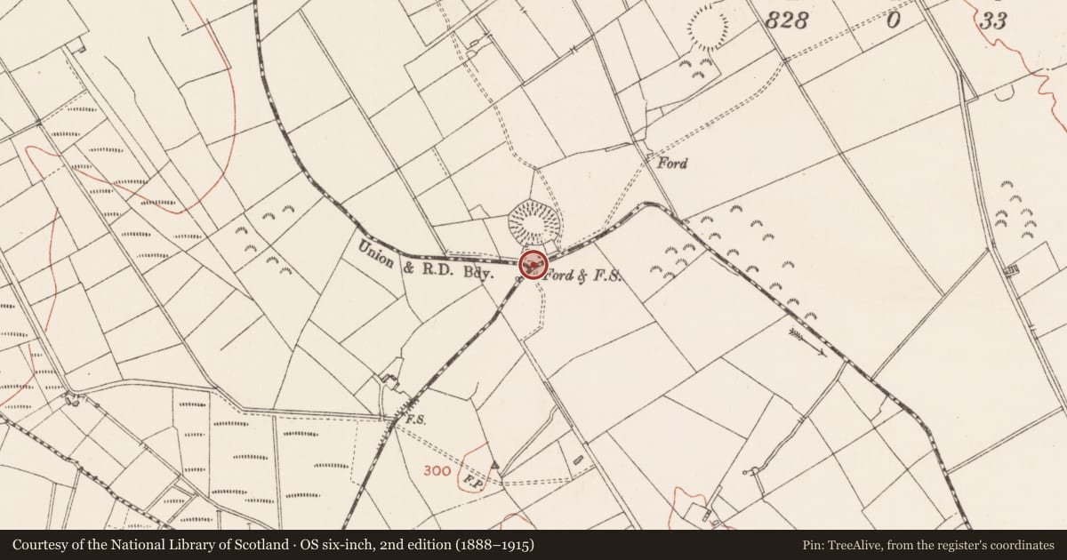 Ordnance Survey six-inch map, 2nd edition (1888–1915) covering the location of Ford, Ballyglassin, Breany, County Longford, with a pin at the register's coordinates