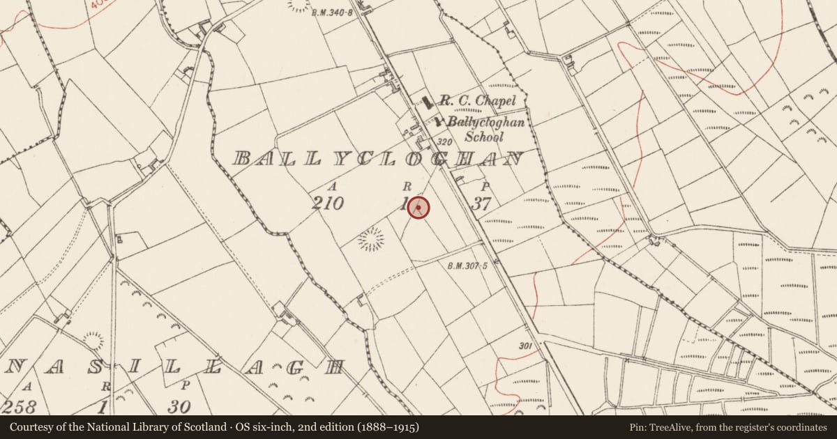 Ordnance Survey six-inch map, 2nd edition (1888–1915) covering the location of Burnt spread, Ballycloghan, County Longford, with a pin at the register's coordinates