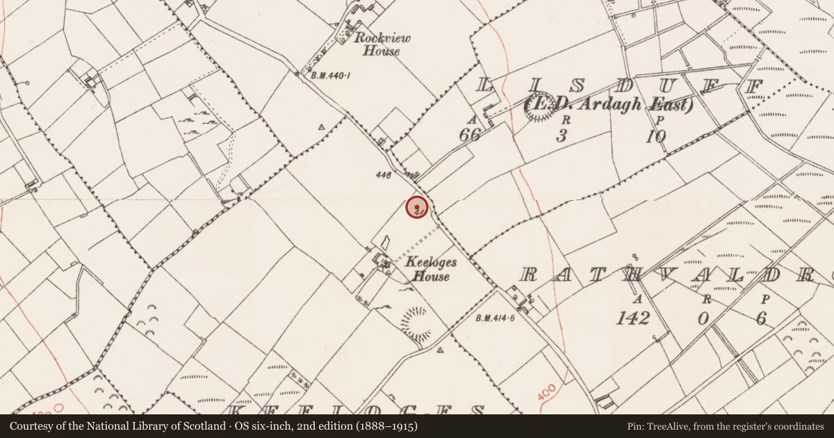 Ordnance Survey six-inch map, 2nd edition (1888–1915) covering the location of Enclosure, Keeloges, County Longford, with a pin at the register's coordinates