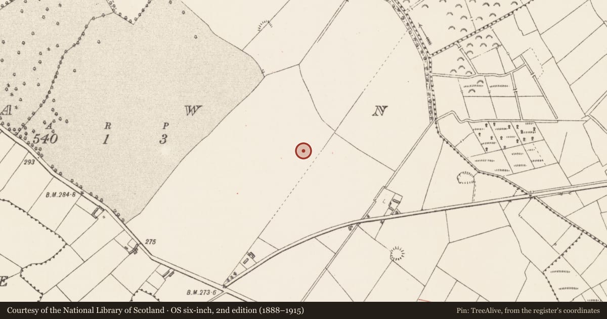 Ordnance Survey six-inch map, 2nd edition (1888–1915) covering the location of Earthwork, Bawn, County Longford, with a pin at the register's coordinates