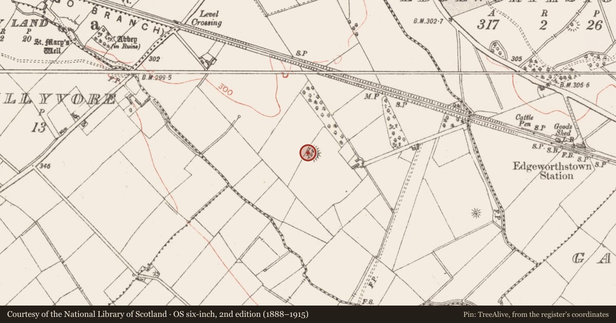 Ordnance Survey six-inch map, 2nd edition (1888–1915) covering the location of Ringfort - rath, Tinnynarr, County Longford, with a pin at the register's coordinates