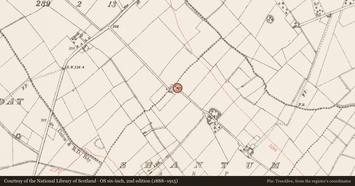 Ordnance Survey six-inch map, 2nd edition (1888–1915) covering the location of Barrow - mound barrow, Shantum, County Longford, with a pin at the register's coordinates