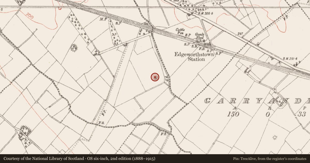 Ordnance Survey six-inch map, 2nd edition (1888–1915) covering the location of Barrow - bowl-barrow, Tinnynarr, County Longford, with a pin at the register's coordinates