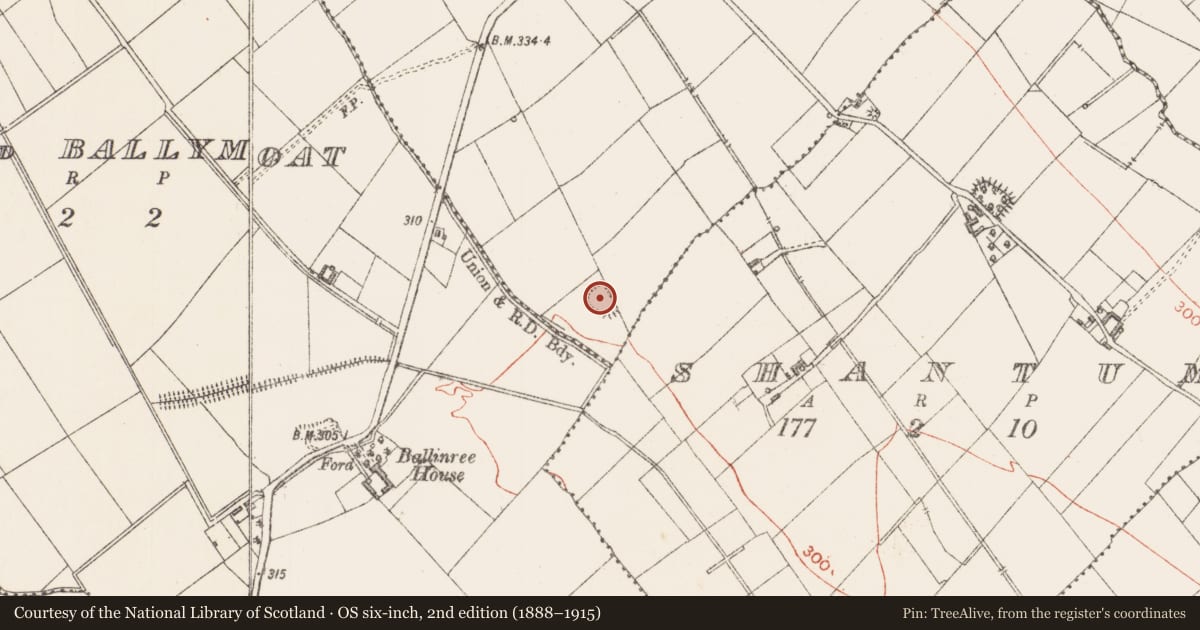 Ordnance Survey six-inch map, 2nd edition (1888–1915) covering the location of Enclosure, Ballindagny And Cullyvore, County Longford, with a pin at the register's coordinates