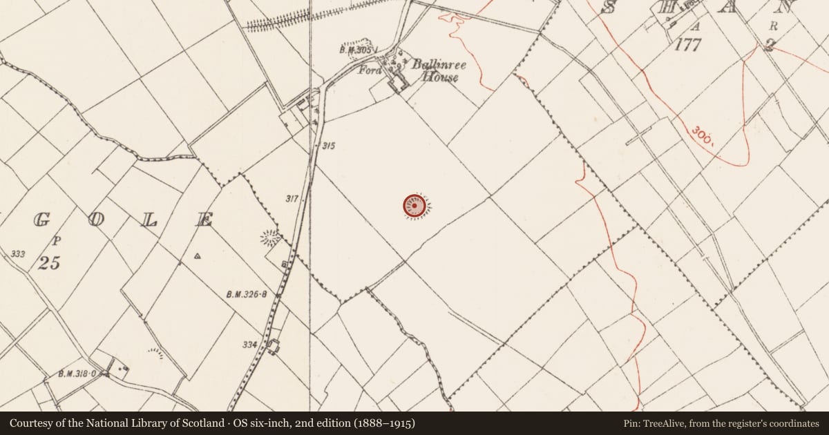 Ordnance Survey six-inch map, 2nd edition (1888–1915) covering the location of Ringfort - rath, Ballinree And Ballymoat, County Longford, with a pin at the register's coordinates
