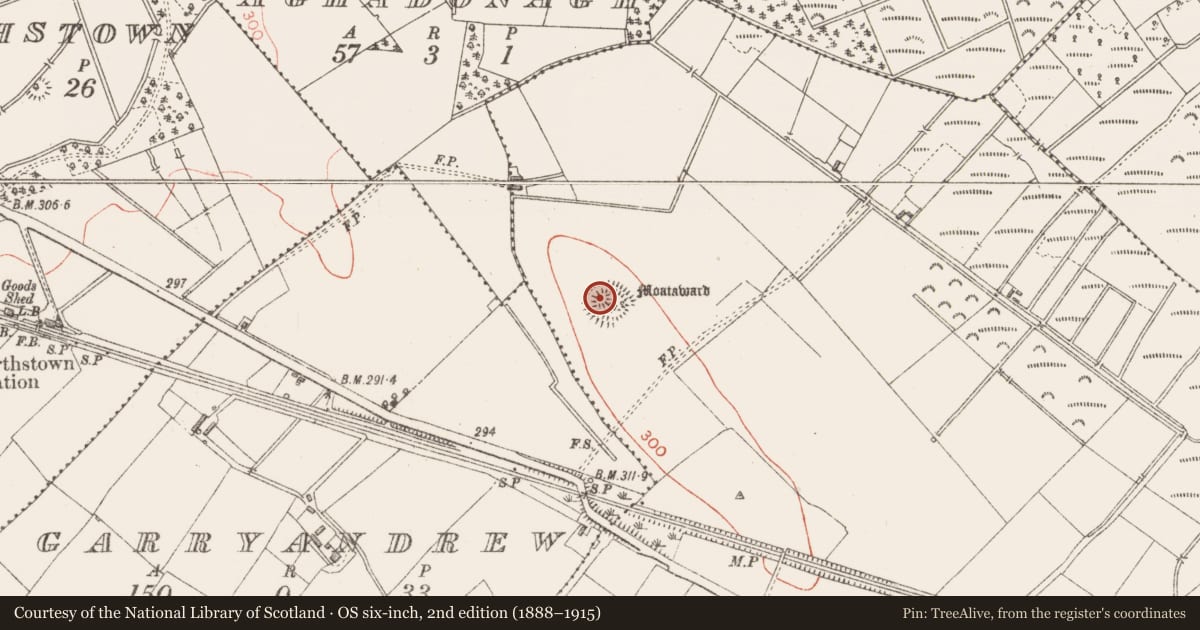 Ordnance Survey six-inch map, 2nd edition (1888–1915) covering the location of Castle - motte and bailey, Lisnagrish, County Longford, with a pin at the register's coordinates