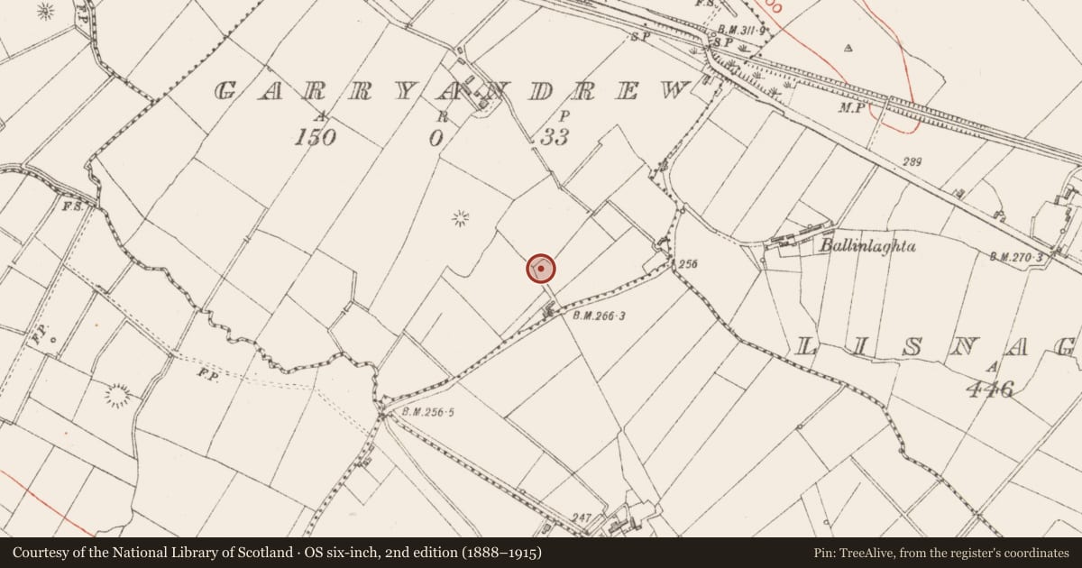 Ordnance Survey six-inch map, 2nd edition (1888–1915) covering the location of Enclosure, Garryandrew, County Longford, with a pin at the register's coordinates