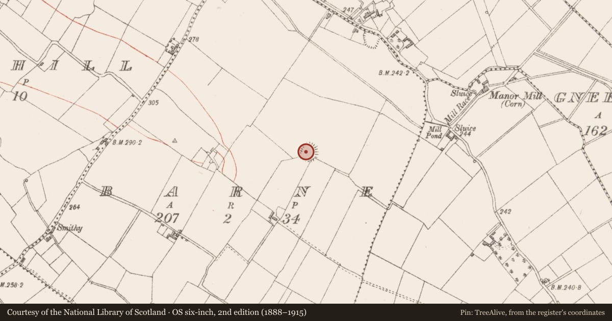 Ordnance Survey six-inch map, 2nd edition (1888–1915) covering the location of Ringfort - rath, Barne, County Longford, with a pin at the register's coordinates