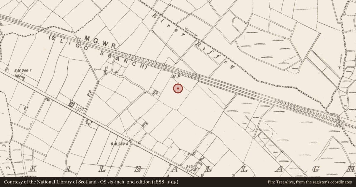 Ordnance Survey six-inch map, 2nd edition (1888–1915) covering the location of Ringfort - rath, Kilsallagh, County Longford, with a pin at the register's coordinates