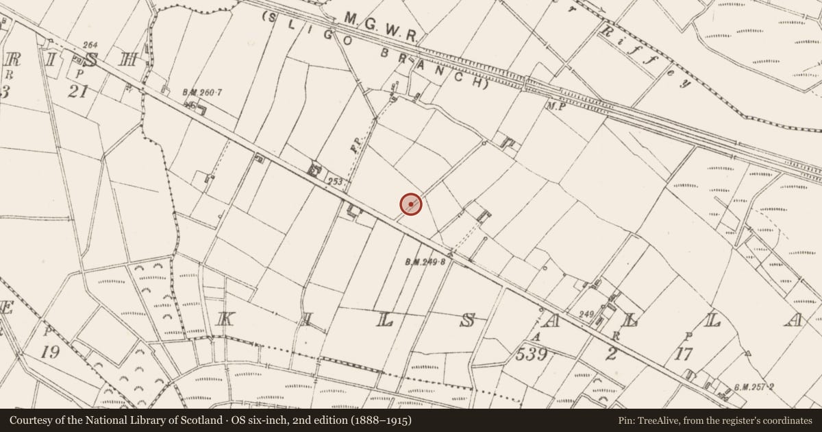 Ordnance Survey six-inch map, 2nd edition (1888–1915) covering the location of Ringfort - rath, Kilsallagh, County Longford, with a pin at the register's coordinates