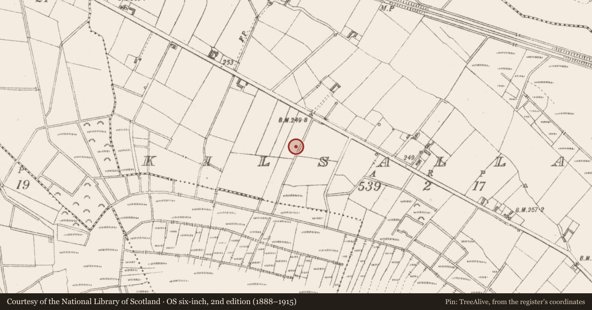 Ordnance Survey six-inch map, 2nd edition (1888–1915) covering the location of Ringfort - rath, Kilsallagh, County Longford, with a pin at the register's coordinates
