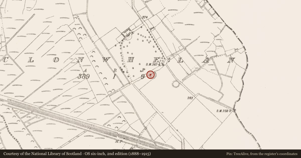 Ordnance Survey six-inch map, 2nd edition (1888–1915) covering the location of Ringfort - rath, Clonwhelan, County Longford, with a pin at the register's coordinates