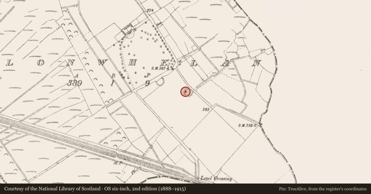 Ordnance Survey six-inch map, 2nd edition (1888–1915) covering the location of Ringfort - rath, Clonwhelan, County Longford, with a pin at the register's coordinates