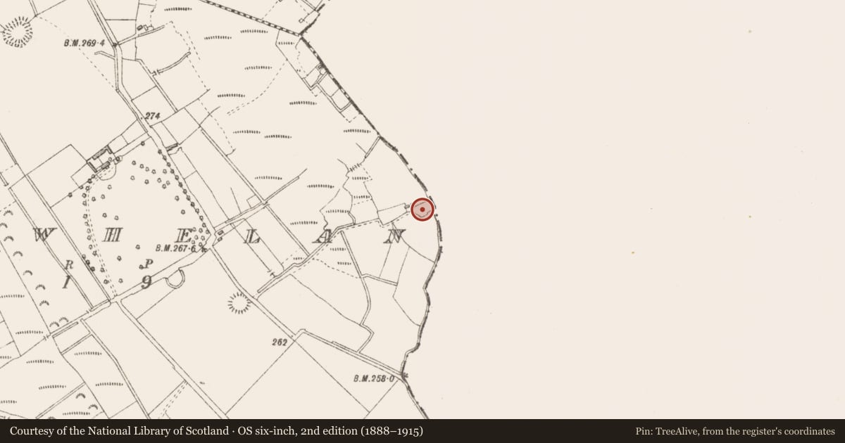 Ordnance Survey six-inch map, 2nd edition (1888–1915) covering the location of Ringfort - rath, Clonwhelan, County Longford, with a pin at the register's coordinates