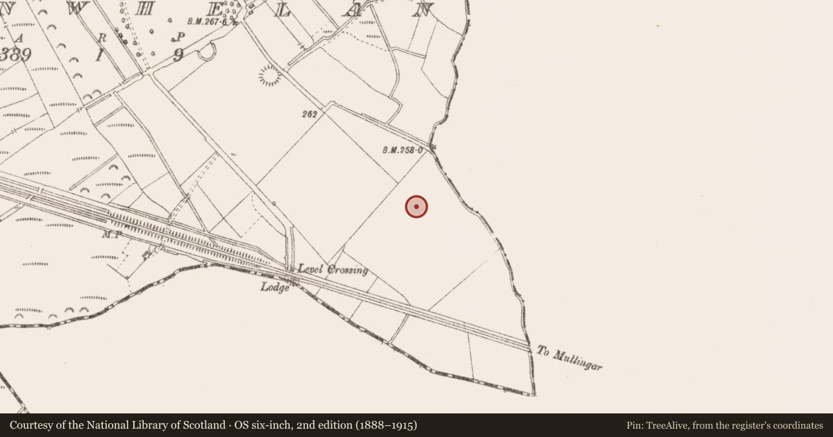 Ordnance Survey six-inch map, 2nd edition (1888–1915) covering the location of Barrow - ring-barrow, Clonwhelan, County Longford, with a pin at the register's coordinates