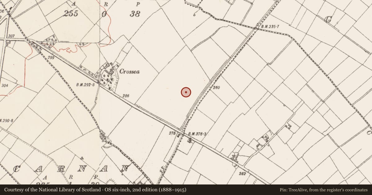 Ordnance Survey six-inch map, 2nd edition (1888–1915) covering the location of Ringfort - rath, Crossea North, County Longford, with a pin at the register's coordinates