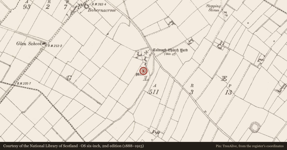 Ordnance Survey six-inch map, 2nd edition (1888–1915) covering the location of Castle - motte, Glen, County Longford, with a pin at the register's coordinates