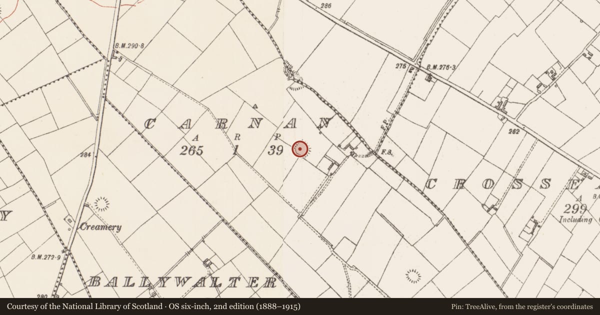 Ordnance Survey six-inch map, 2nd edition (1888–1915) covering the location of Ringfort - rath, Carnan, County Longford, with a pin at the register's coordinates