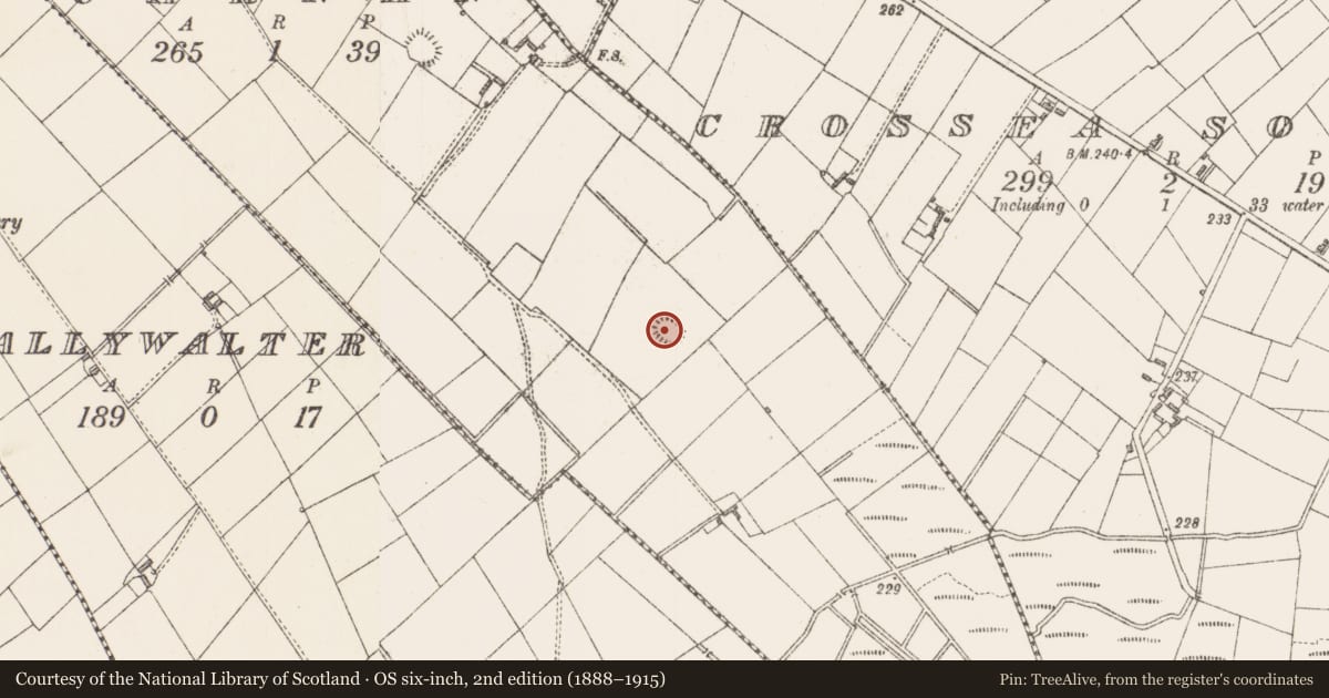 Ordnance Survey six-inch map, 2nd edition (1888–1915) covering the location of Moated site, Carnan, County Longford, with a pin at the register's coordinates